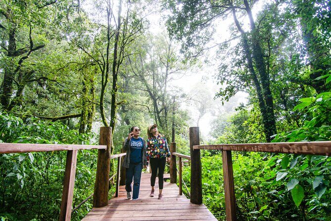 Hike to the Highest Spot + Waterfall in Chiang Mai - FAQs