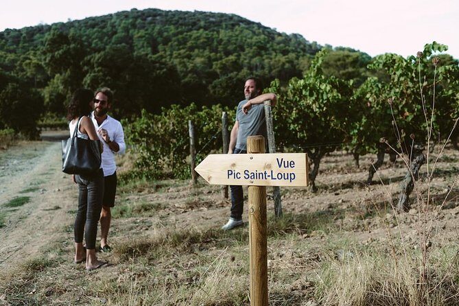 Hike to the top of "Pic Saint Loup", wine & food - An In-Depth Look at the Tour