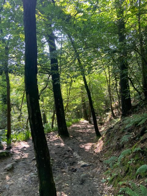 Hike Ulia | San Sebastian: El Camino de Santiago (The Way) - An In-Depth Look at the Hike and Its Highlights