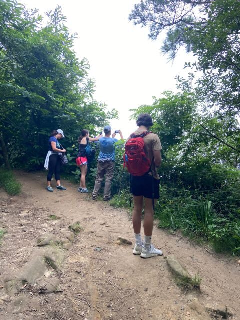 Hike Ulia | San Sebastian: El Camino de Santiago (The Way) - Detailed Itinerary Breakdown