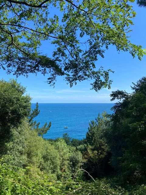 Hike Ulia | San Sebastian: El Camino de Santiago (The Way) - The Sum Up