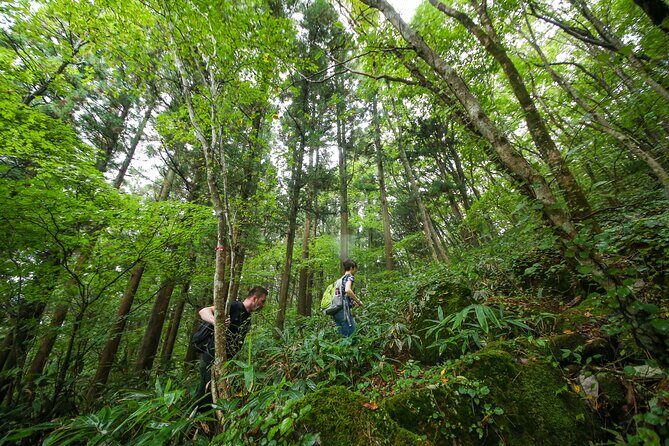 Hike up Mt. Omine and enjoy the view of Miyajima - Who should consider this experience?