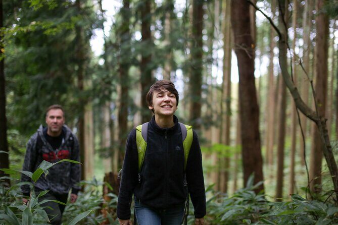 Hike up Mt. Omine and enjoy the view of Miyajima - FAQs