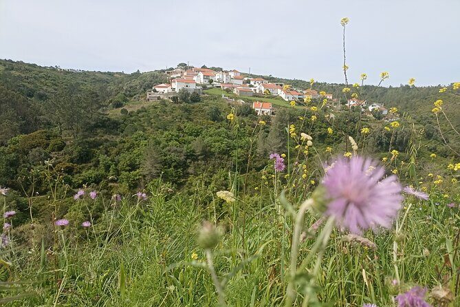 Hike & Wine Ericeira - What to Expect: Itinerary Breakdown and Practical Details