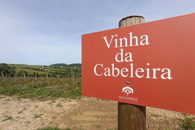 Hike & Wine Ericeira - The Experience’s Highlights: From Scenic Views to Sensory Delights