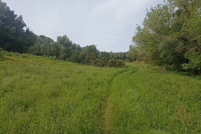 Hike & Wine Ericeira - Why This Tour Is a Great Choice