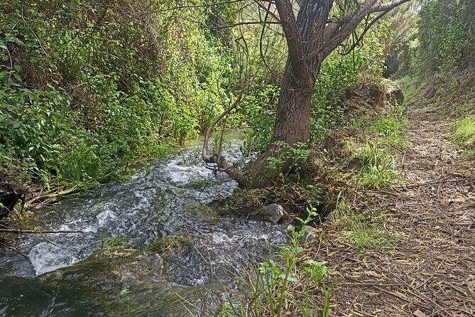 Hike & Wine Ericeira - FAQs