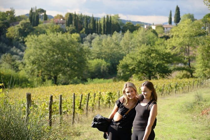 Hike & Wine Tour - The Light Tuscan Lunch