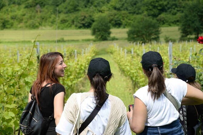 Hike & Wine Tour - FAQ