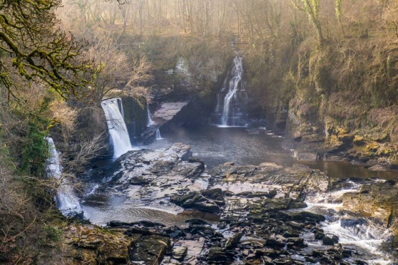 Hike World Heritage Reserve Waterfalls - An In-Depth Look at the Waterfalls of the River Clyde Tour