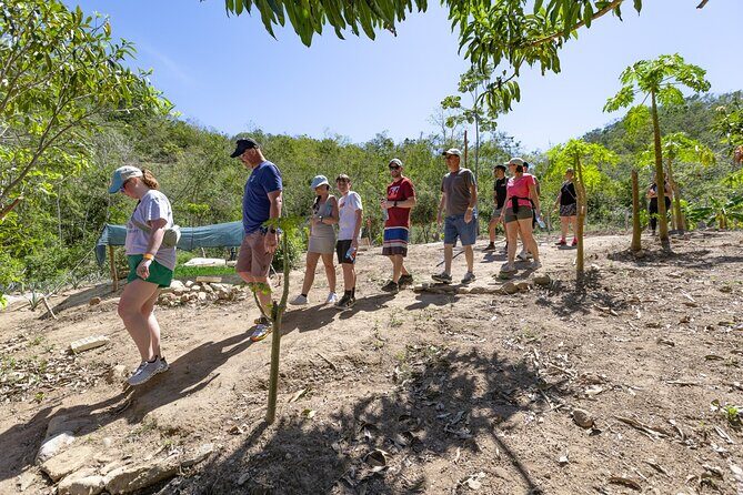 Hiking Adventure in Puerto Vallarta - The Real Experience: What You Can Expect