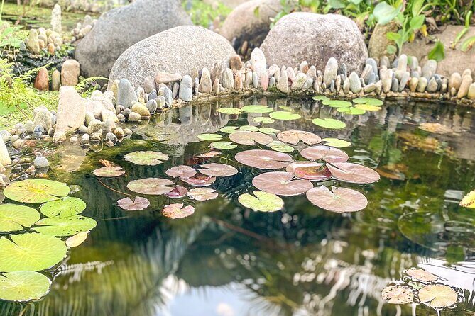 Hiking Adventure in Puerto Vallarta - FAQs