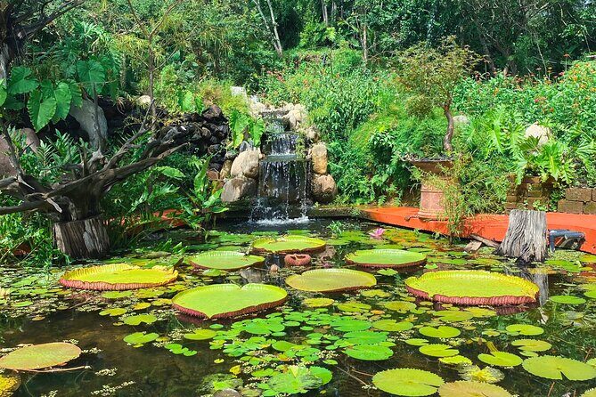 Hiking Adventure in Puerto Vallarta - Final Word