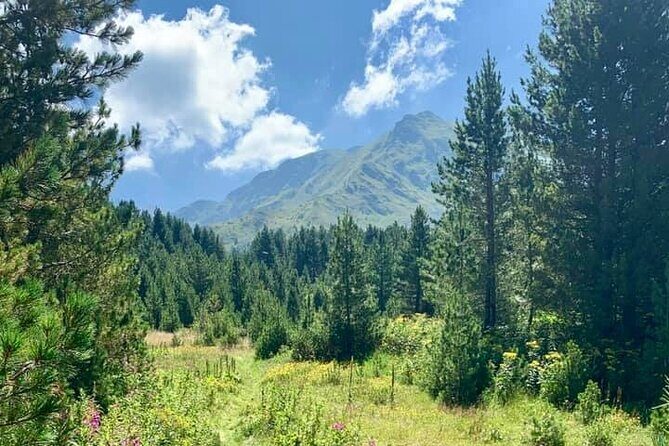 Hiking adventure in Sharri - Authenticity and Small Group Appeal