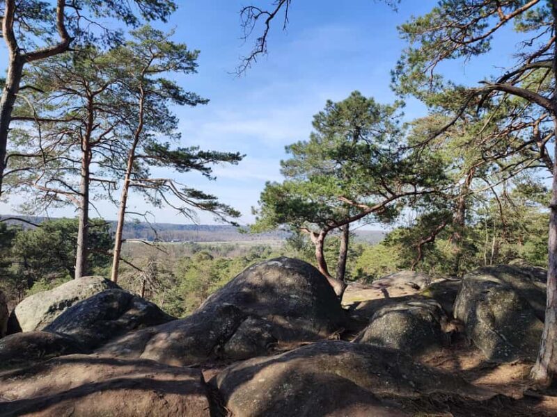 Hiking Adventure in the Fontainebleau Forest - An In-Depth Look at the Fontainebleau Forest Hiking Tour
