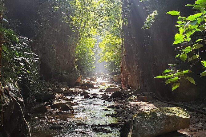 Hiking Adventure: River Trails & Waterfall Wonders - The Sum Up