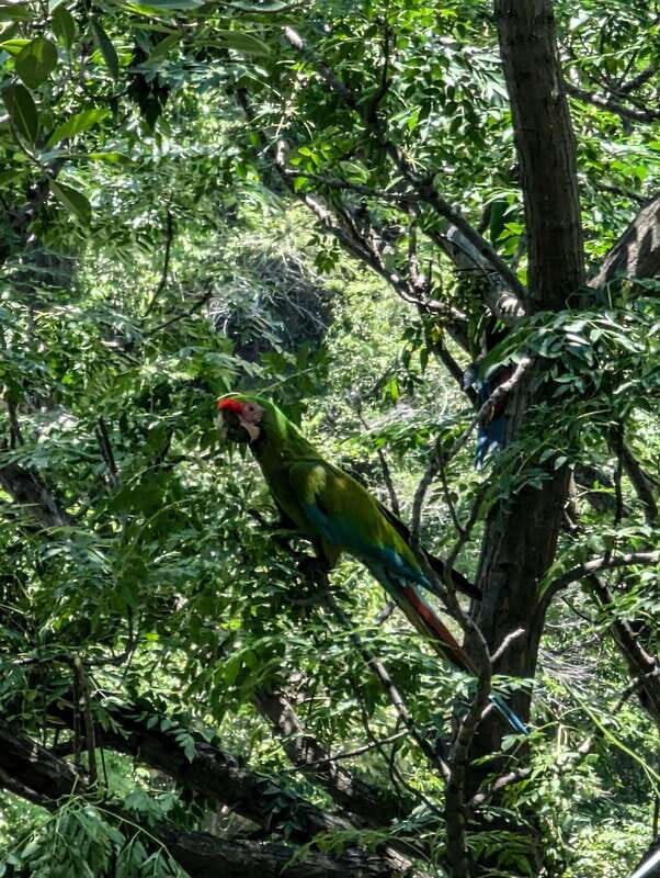 Hiking Adventure to a Secret Swimming Spot - FAQs