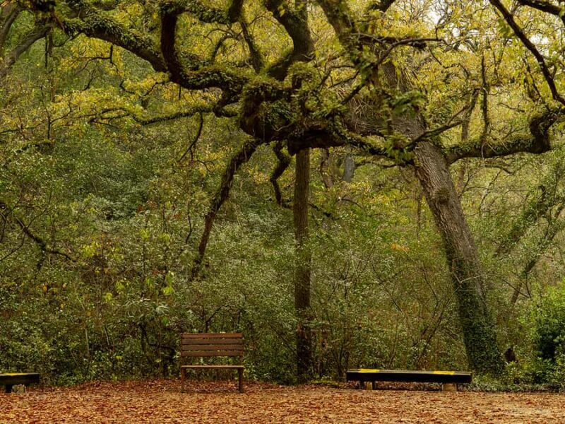 Hiking and a visit to a waterfall in the city: La Estanzuela - Key Points