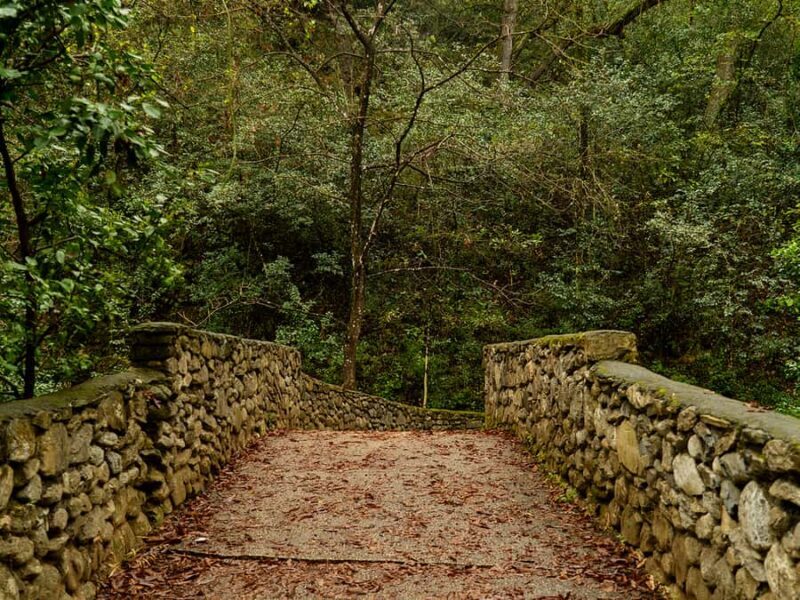 Hiking and a visit to a waterfall in the city: La Estanzuela - An Introduction to La Estanzuela’s Natural Charm