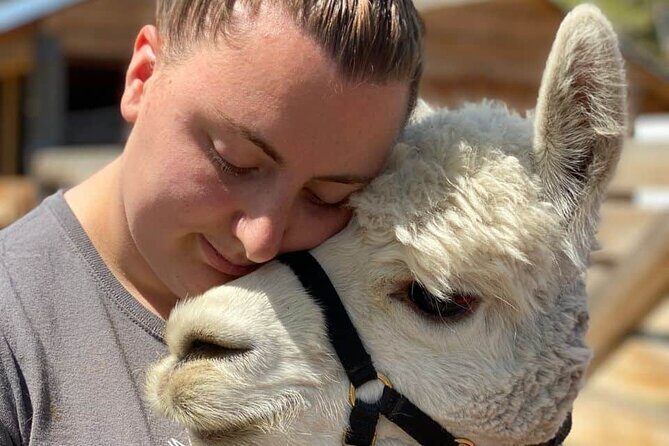 Hiking and Adventure from Napanee to Bon Echo Provincial Park - The Sum Up