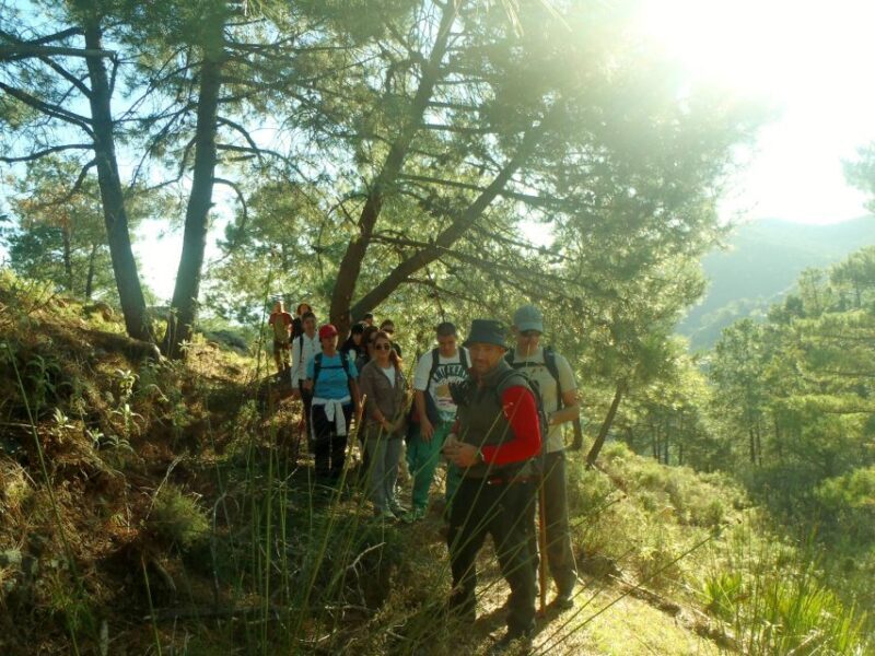 Hiking and bathing in natural pools in the National Park - Exploring Sierra de las Nieves: what to expect
