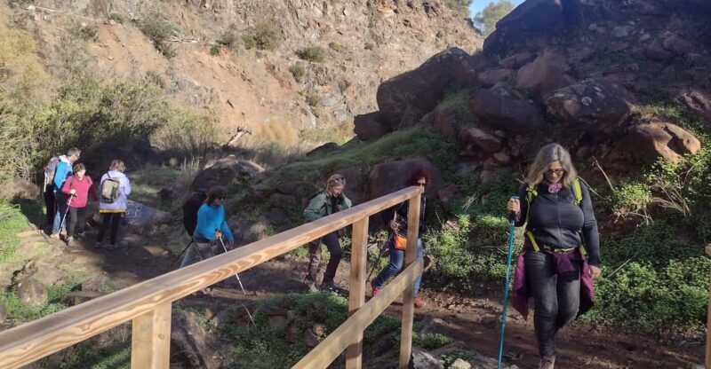 Hiking and bathing in natural pools in the National Park - Detailed breakdown of the experience