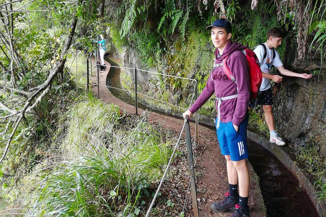 Hiking and Trekking tours in Madeira - Discovering Madeira’s Natural Wonders: A Detailed Look