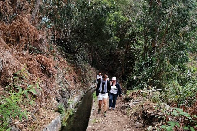 Hiking and Trekking tours in Madeira - The Itinerary: What to Expect on the Day