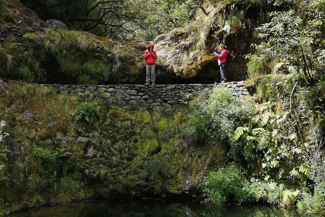 Hiking and Trekking tours in Madeira - Transportation & Meeting Point