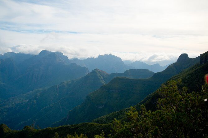 Hiking and Trekking tours in Madeira - Cost & Value