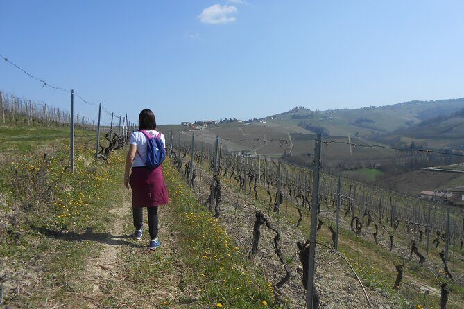 Hiking and wine tour starting from Alba - Key Points