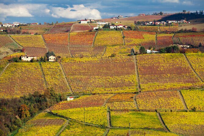 Hiking and wine tour starting from Alba - A Closer Look: What to Expect from the Tour