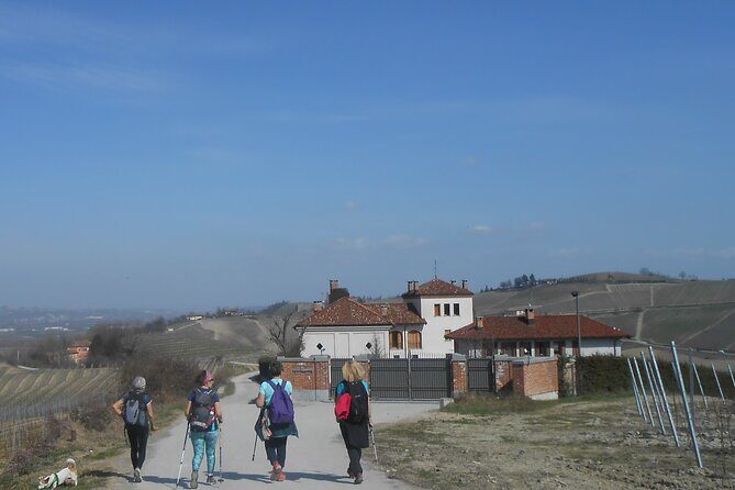 Hiking and wine tour starting from Alba - The Sum Up: Who Should Book This Experience?