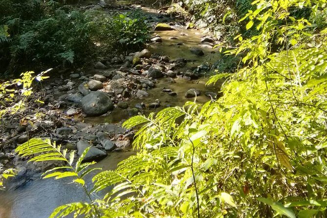 Hiking and Zipline Private Tour from Chiang with Karen Village - FAQ