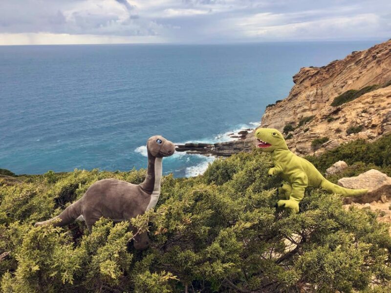 HIKING around Lisbon: Jurassic Dinosaur Trails of Espichel - Frequently Asked Questions