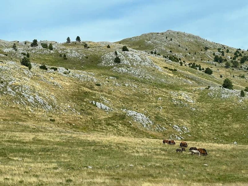 Hiking around Sarajevo: Lukomir Village Full Day Hiking Tour - Authenticity and Local Connection