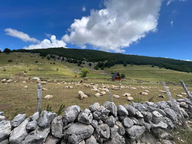 Hiking around Sarajevo: Lukomir Village Full Day Hiking Tour - Who Will Love This Tour?