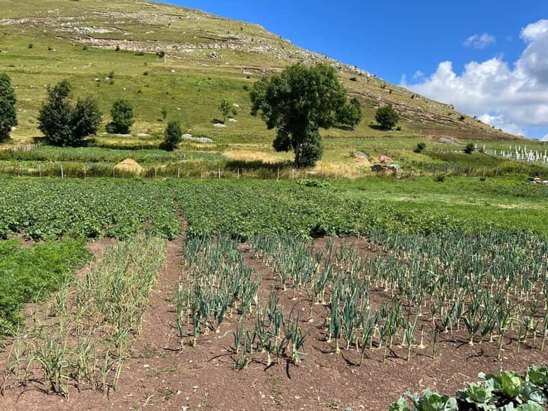 Hiking around Sarajevo: Lukomir Village Full Day Hiking Tour - FAQ