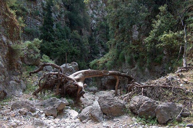 Hiking at Imbros Gorge! Tour from Chania - What Makes This Tour Stand Out
