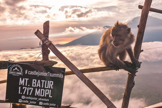 Hiking & Bali Swing - Key Points
