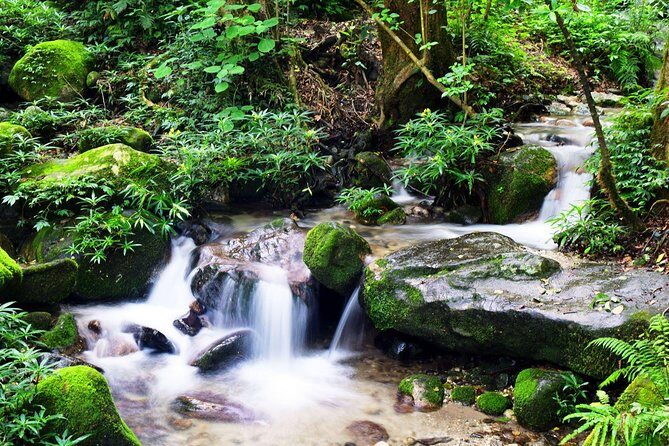 Hiking experience from Shivapuri to Nagi Gumba to Baghdwar - Exploring the Shivapuri to Baghdwar Trek