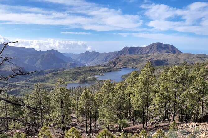 Hiking experience in the north of Gran Canaria - A Deep Dive into the Gran Canaria North Hiking Tour