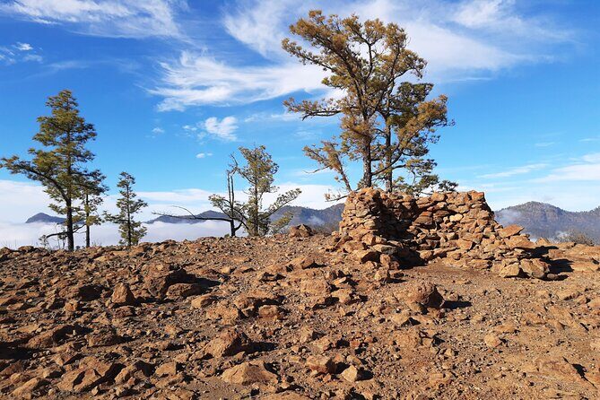 Hiking experience in the north of Gran Canaria - Who Would Love This Tour?
