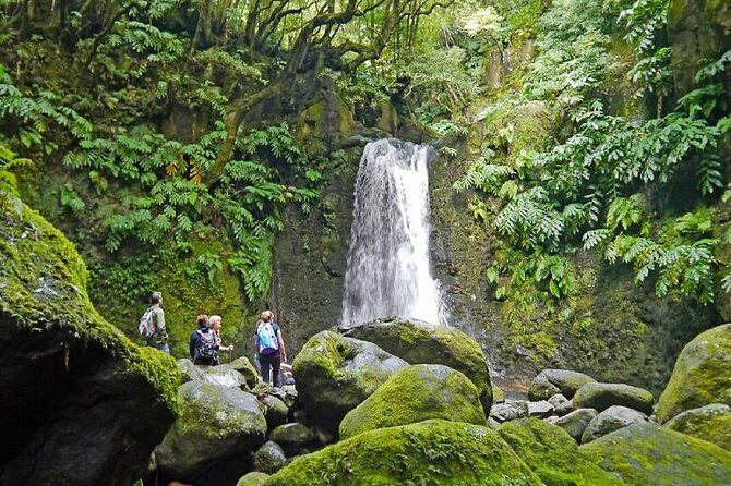 Hiking Faial da Terra + Van Tour Nordeste - Who Should Consider This Tour?