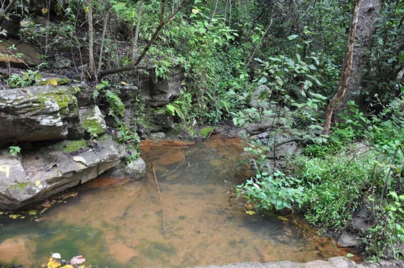 Hiking in Benito Juárez National Park - An In-Depth Look at the Hiking Tour in Benito Juárez National Park