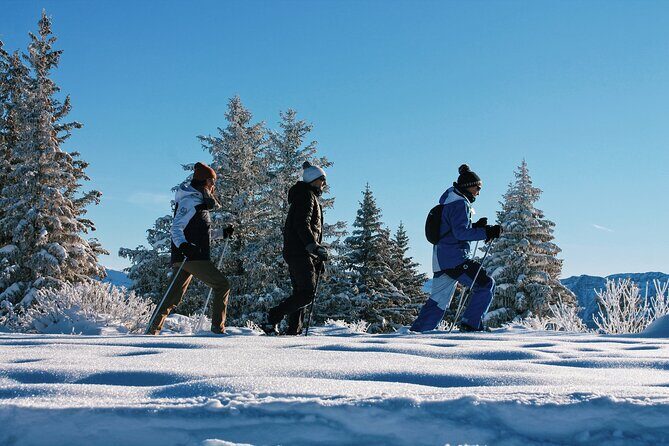 Hiking in Chamonix with a guide - Key Points