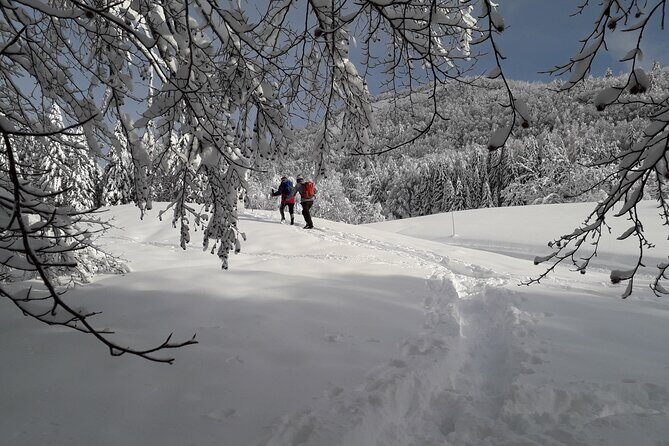 Hiking in Chamonix with a guide - The Experience in Context