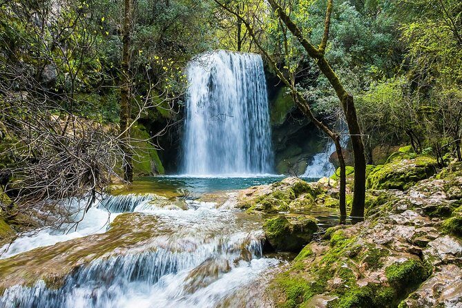 Hiking in Conimbriga and Mouros River Valley - Authentic Reviews and Insights
