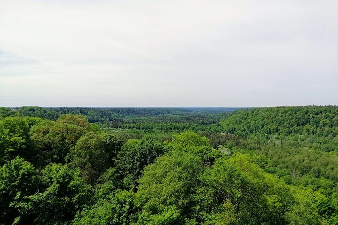 Hiking in Gauja National Park - Final Thoughts