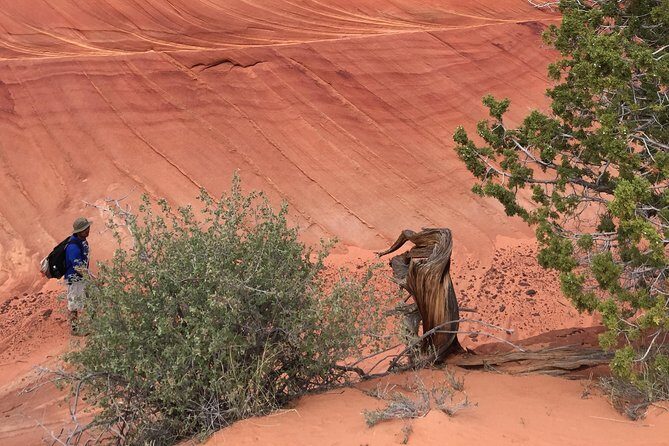 Hiking in Kanab: Famous Teepees of Vermilion Cliffs National Monument near Wave - FAQ